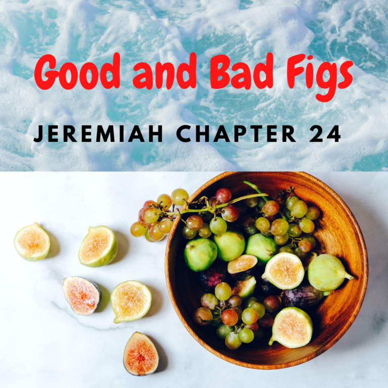 Practical Secret Lessons From Two Baskets Of Figs That Will Make You