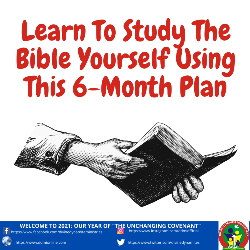 Learn To Study The Bible Yourself Using This 6Month Plan DIVINE